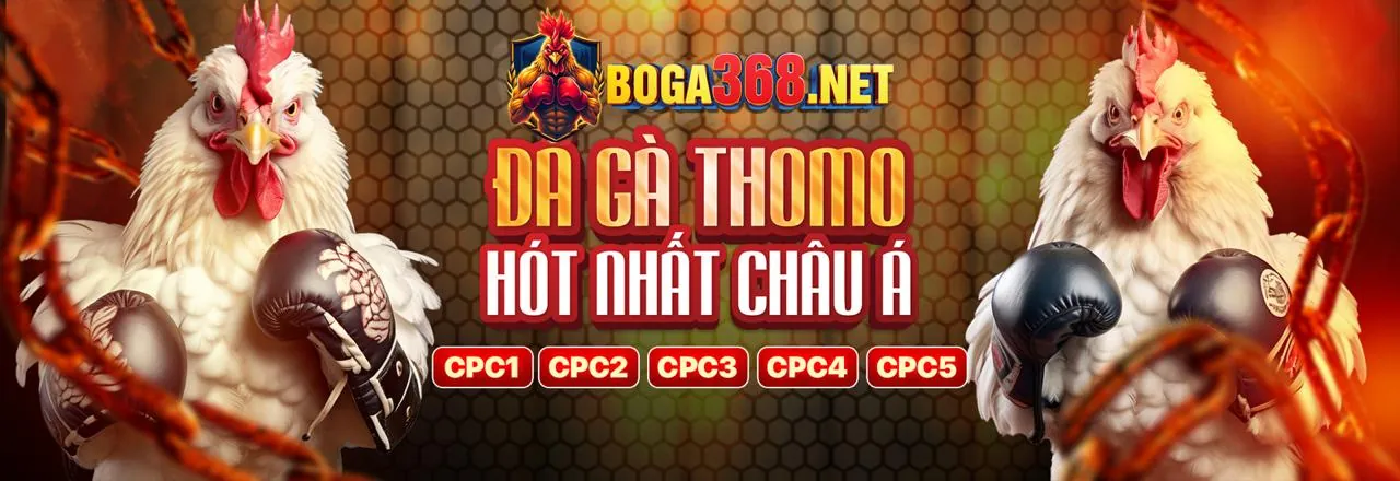 Tổng quan về shbet50 khuyến mãi - Nền tảng cá cược trực tuyến hàng đầu