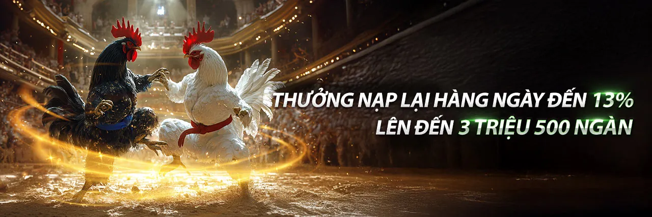 Chương trình VIP shbet50 với các ưu đãi độc quyền